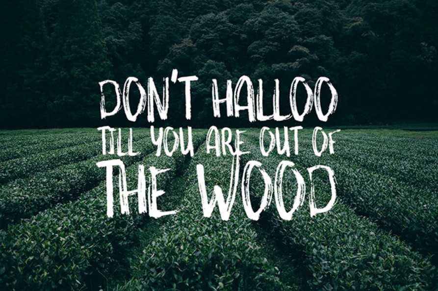 Something Wild Free Font