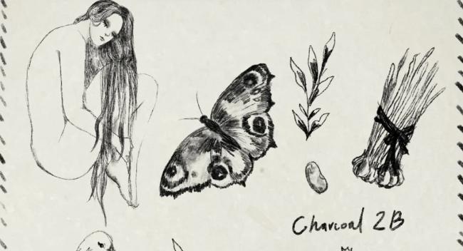 Charcoal 2B Brush for Procreate