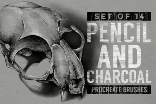 Master pencil charcoal brushes Procreate brushes