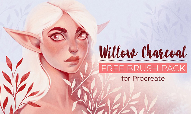 Willow Charcoal Brushes for Procreate