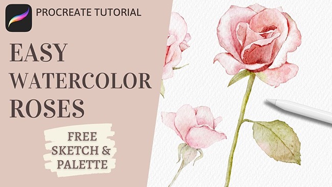 How to Paint Realistic Watercolor Roses in Procreate