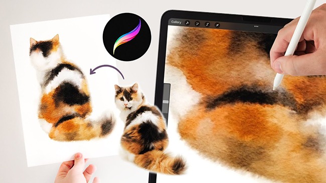 Paint a Fluffy Watercolor Cat in Procreate – Realistic Blending Techniques
